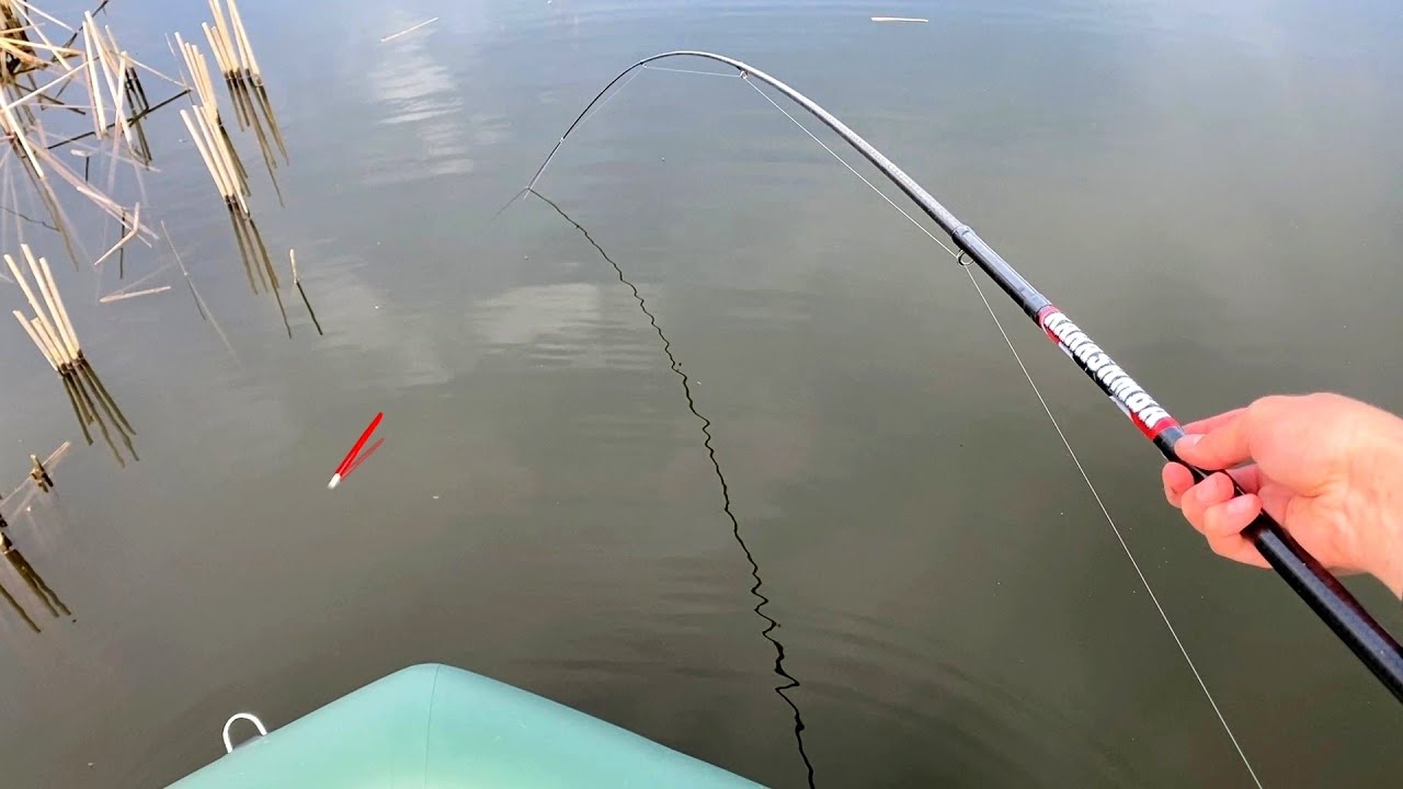 У КАМЫША...ЗОЛОТЫЕ ЛАПТИ ПРУТ! Реальный КРУПНЯК на ПОПЛАВОК! Рыбалка на карася 2025
