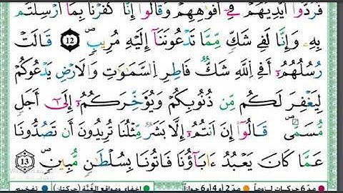الحزب 26 أفمن يعلم سورة الرعد ورش قراءة سريعة للمراجعة والتكرار وتثبيت الحفظ برواية ورش ووقف الهبطي