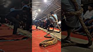 mass master peace|tug of war kerala||mass #shorts #viral