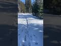 47.76418° N, 25.033975° E