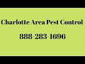 Pest Control Charlotte NC