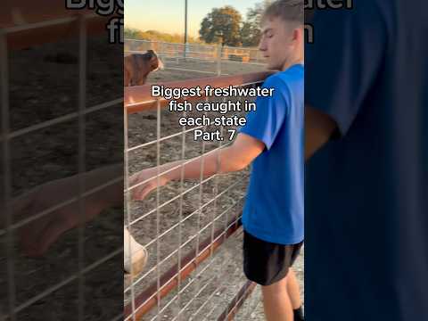 Comment What State You Want To Be Next Outdoors Fishing Bassfishing