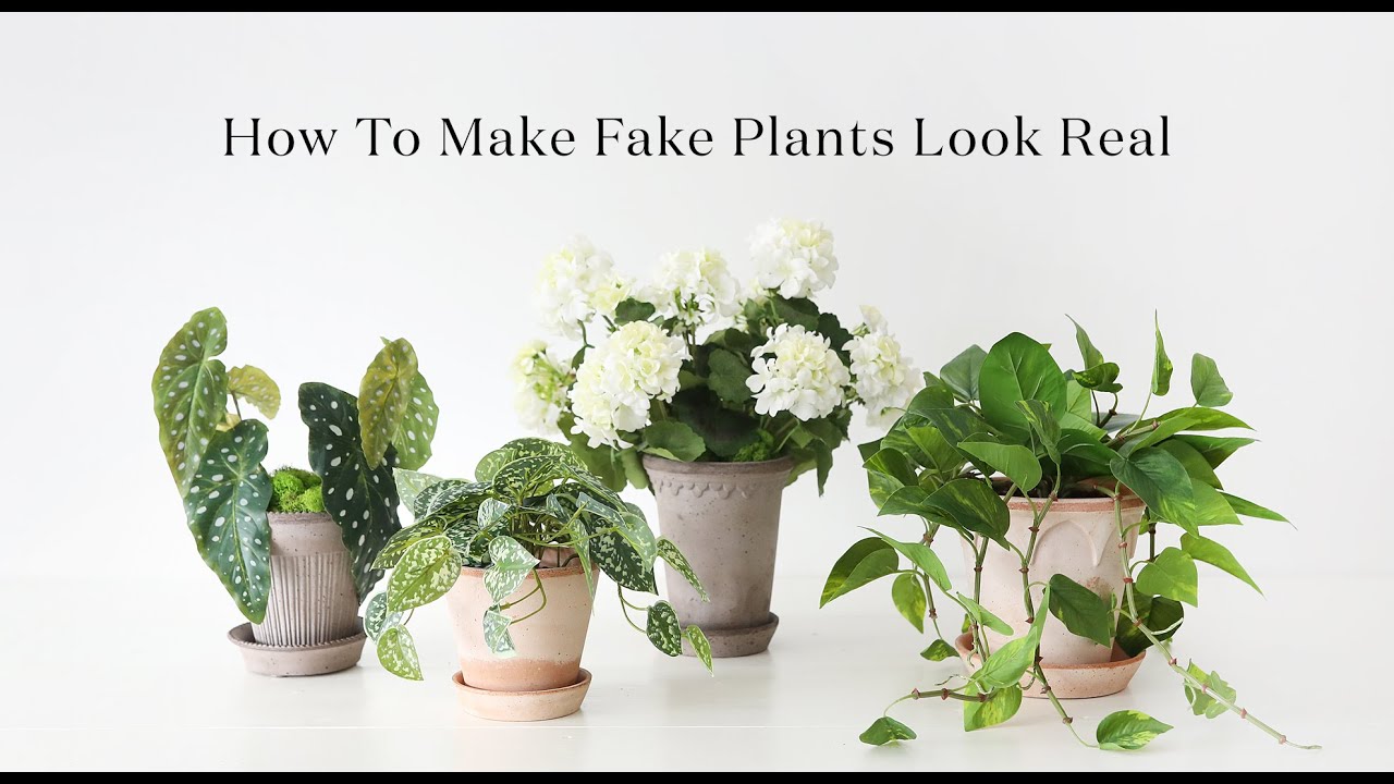 make-fake-plants-look-real-fake-dirt-from-coffee