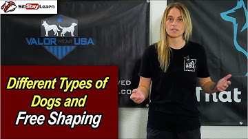 Different Dog Types and Free Shaping