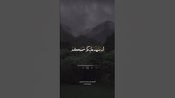 وقالوا لجلودهم لم شهدتم علينا سورة فصلت #قرآن #آيات #أدعية #خواطر #أناشيد #انشودة