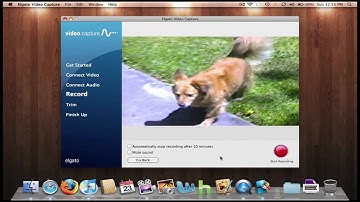 Elgato Video Capture Transfer VHS Tapes and TV to Computer  or DVD