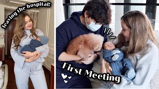 Leaving The Hospital &amp; Our Dog Meets Our Baby For The First Time | Vlog