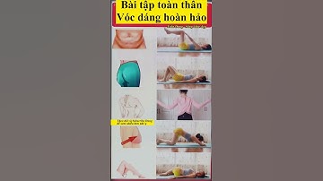 Bài tập toàn thân, vóc dáng hoàn hảo - Trần Dung Sống khỏe đẹp