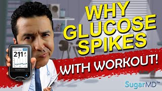 Why Does Glucose Rise With Exercise? Did You Know?