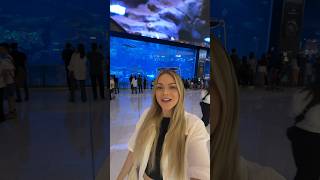 Giant aquarium inside the Dubai Mall 🇦🇪