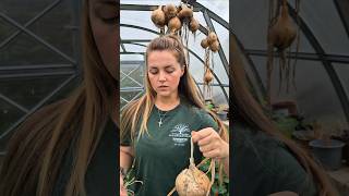 Download Lagu That's something worth crying for 😅 MP3