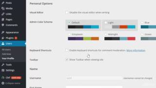 part 4 | Overview of Wordpress Admin Dashboard