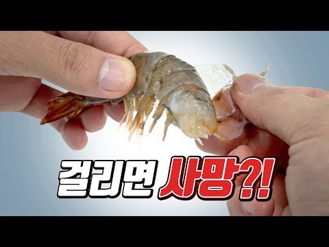 XX을 먹고 사망? 죽기 싫으면 꼭 봐야하는 영상.avi