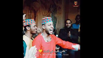 قلبي دايب في الغرام 