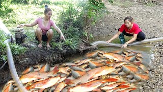 Top Fishing Videos: Survival Skills - Unique Fishing Techniques - Best Fishing Skills