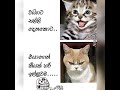 Fb funny post | Sinhala joke post 14 / Nittawa