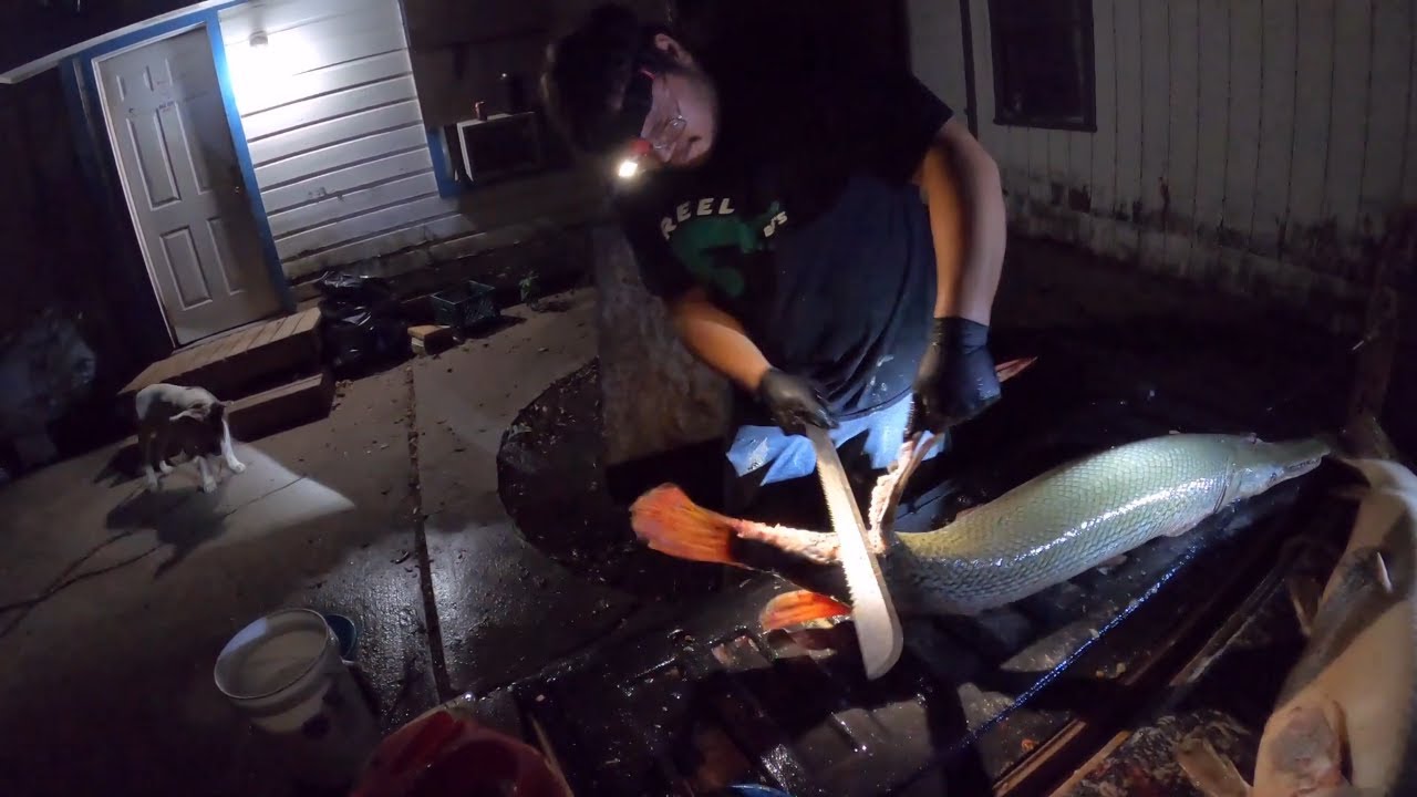How to Clean Alligator Gar with a Machete (+fillet knife) and Cook