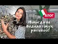 Садовый рай и поездка на море. ЦЕНЫ УДИВИЛИ!
