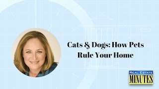 Cats & Dogs: How Pets Rule Your Home by ExpertRealEstateTips 257 views 8 years ago 2 minutes, 49 seconds