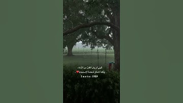 من اجمل حالات واتس اب عبد الرحمن مسعد ❤ تلاوة مبكية