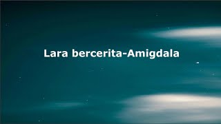 Amigdala-Lara bercerita|| Lirik lagu