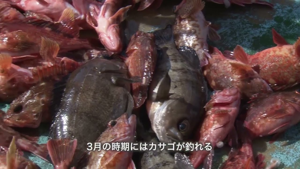 姫島の伝統漁法（８つの漁法紹介）