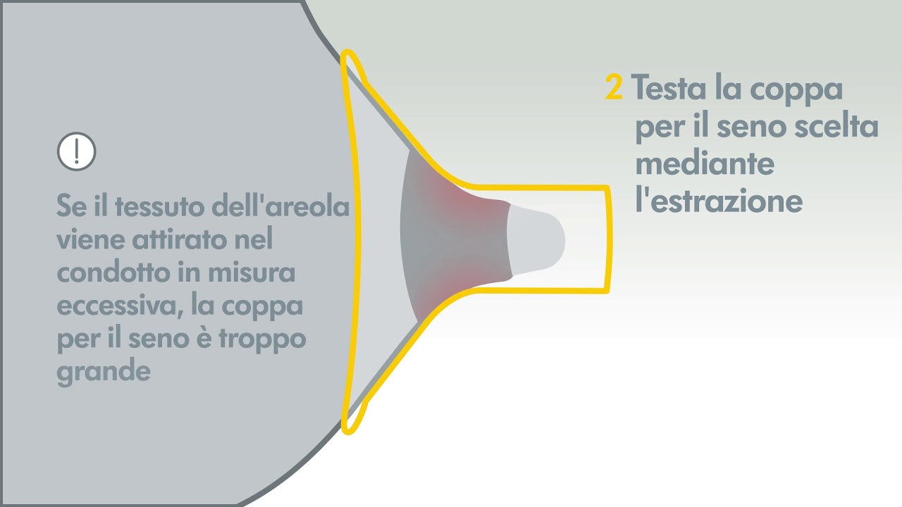seno taglia 3 coppa a