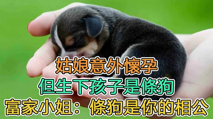 民间故事：姑娘意外怀孕，但生下孩子是条狗，富家小姐：条狗是你的相公｜女子误以他为夫，夫揭冒名者｜头条故事汇 - 天天要闻