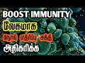      immunity boosting foods  increase immunity power  herb mystery
