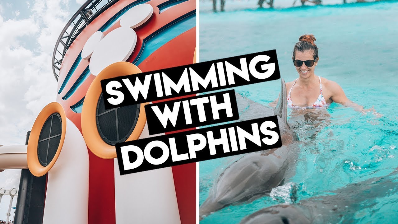 Disney Dream | Swimming With Dolphins In Nassau, Bahamas