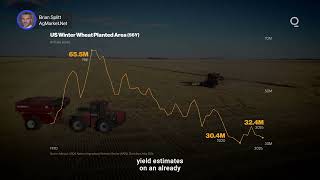 US Grain Markets Brace for Summer Volatility | Presented by CME Group
