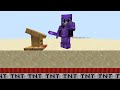 I Rigged a Minecraft SMP with 2000 TNT