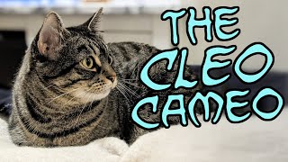 The Cleo Cameo