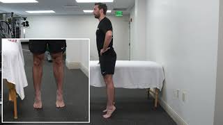 Standing Bilateral Heel Raises
