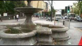 Red Rooster - Sam Maguire Song