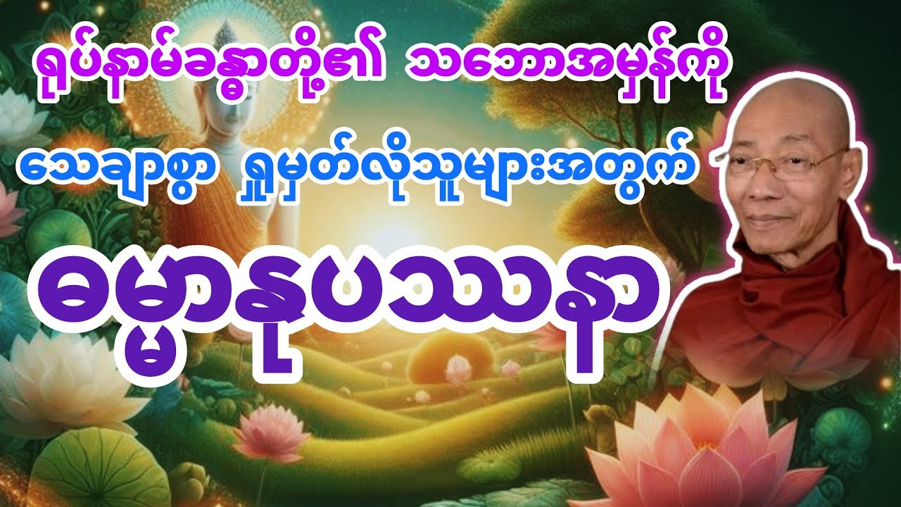 ဓမ္မာနုပဿနာ (ရုပ်နာမ်ခန္ဓာကို ရှုမှတ်ခြင်း) ပါချုပ်ဆရာတော် @dhammasitala
