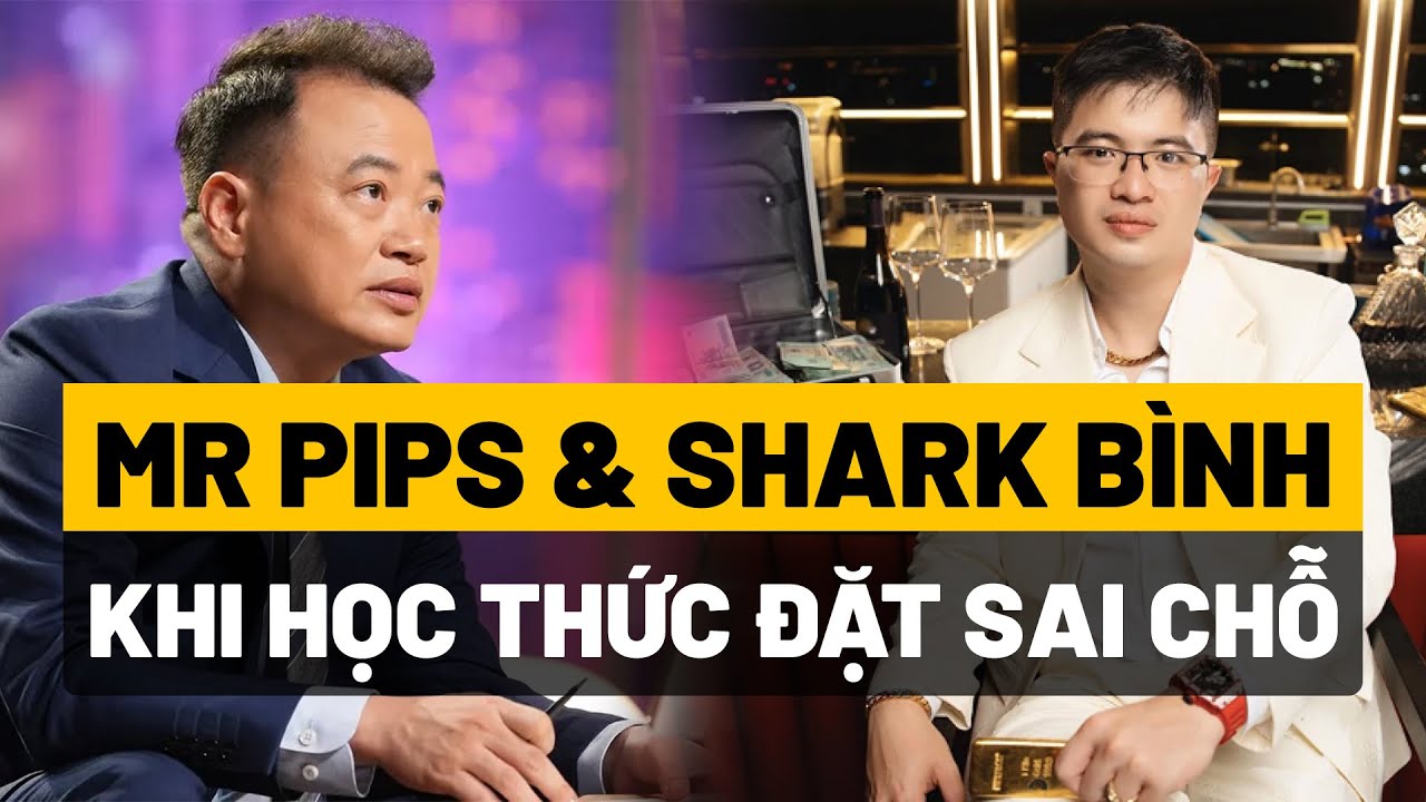 Mr Pips & Shark Bình: “Khi học thức đặt sai chỗ” | THƯ VIỆN PHÁP LUẬT