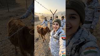 सरहद पर आया नन्हा मेहमान 🐄… दिल खुश हो जाएगा #indianarmy #calf #army