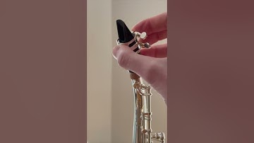 Soprano Sax Setup 🎷