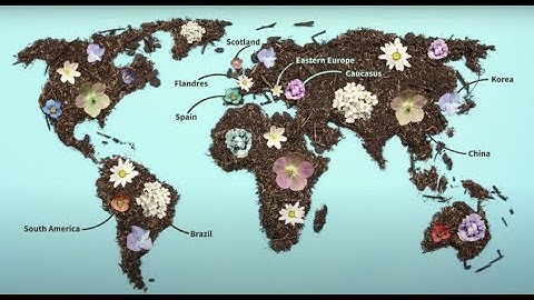 UrbanByNature: a capacity-building and knowledge-sharing programme for nature-based solutions