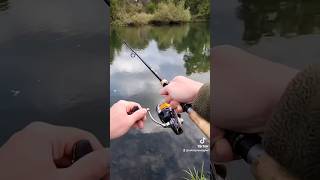Live Attacken beim Hechtangeln 🙂! Diese Bisse sind genial! #angeln #fishing #catch