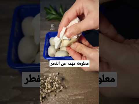 معلومه مهمه عن استخدام وتنظيف الفطر الفطر افكار معلومات مهم