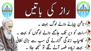 Quotes About life | Rumi Quotes | Sunheri Golden Words | Best Urdu Quotes | Hikmat ke baatin screenshot 2