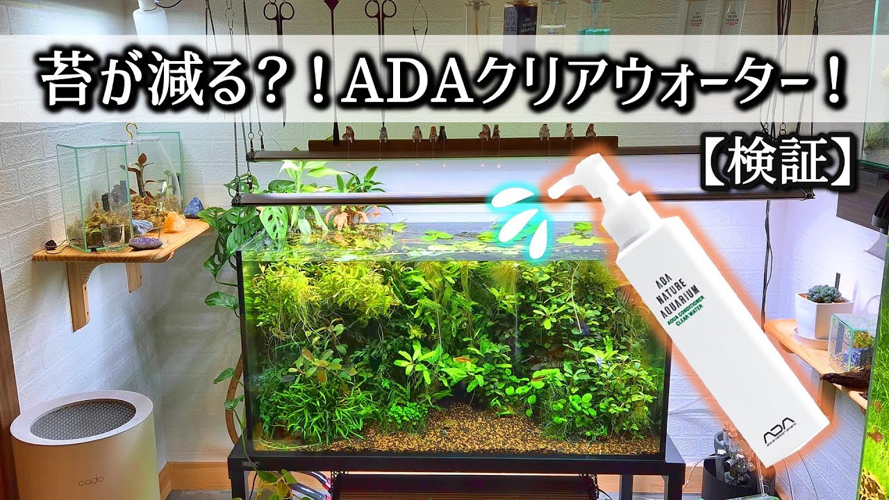 For those who are troubled by algae in their aquarium! ADA Clear