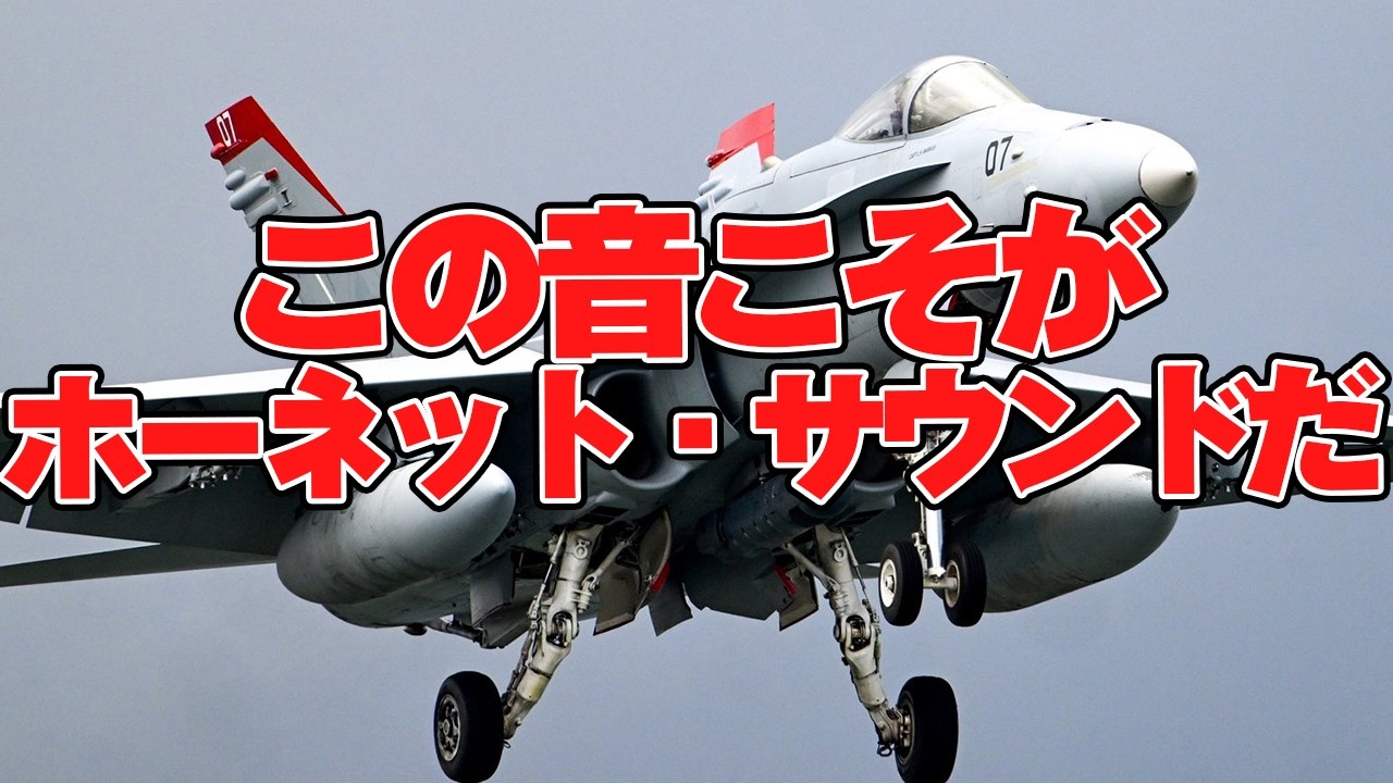 これがホーネットの本気サウンド!数々の戦地任務を遂行してきたレッドデビルズの熱いフライト!F/A-18D Red Devils / VMFA-232