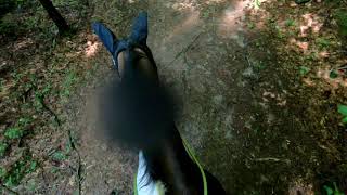 Trail Ride   Oak Openings   2021-07-25