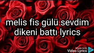 Melis Fis - Gülü Sevdim Dikeni Battı 