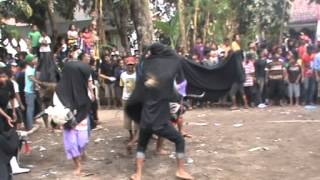 Bantengan Trisno Djati Ft Lestari Budoyo @ketawang