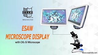 ESAW Scopepad Mini Microscope Screen with CXL-5i Microscope