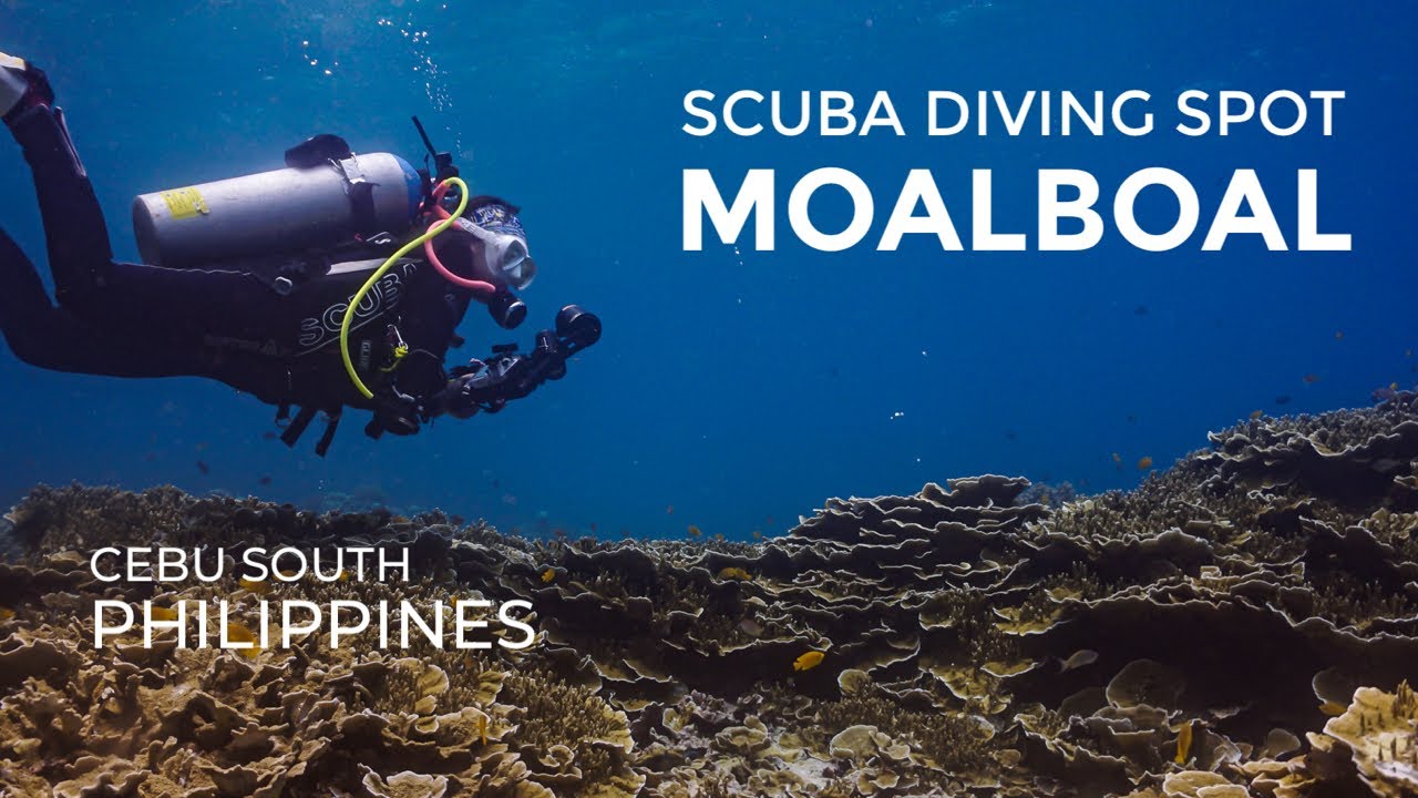 Scuba Diving Spot Moalboal Cebu